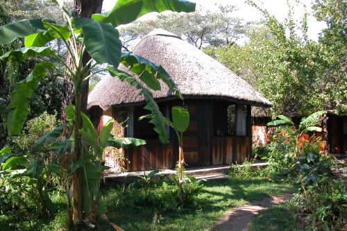 Nkwazi (1)